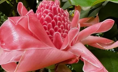 Tantra et Chamanisme